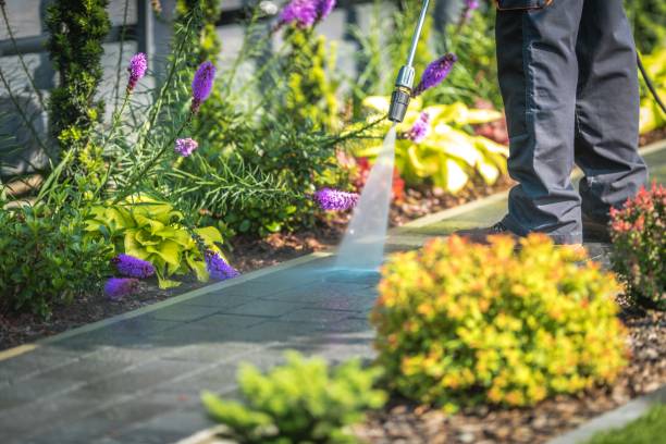 Pre-Holiday Cleaning in Rainbow Springs, FL